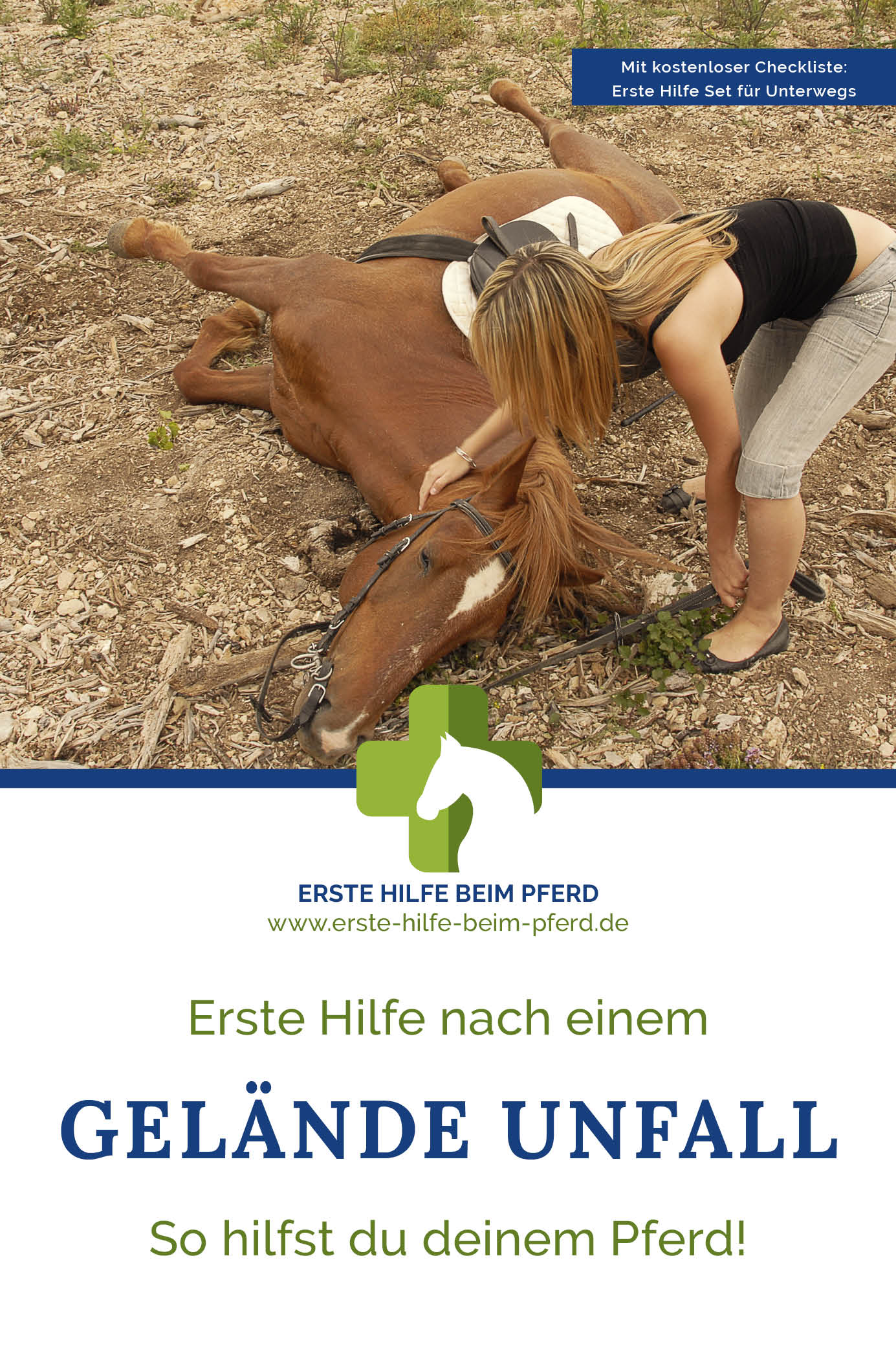 Erste Hilfe Im Gelände Erste Hilfe Beim Pferd 9933