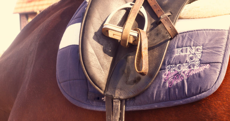 Pferd mit Druckstellen