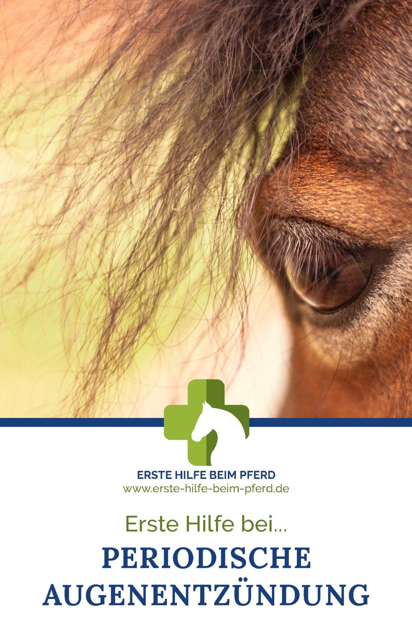 Periodische Augenentzundung Pferd Einschlafern